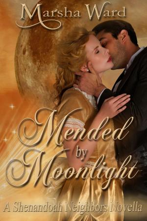 Cover of the book Mended by Moonlight: A Shenandoah Neighbors Novella by Marsha Ward