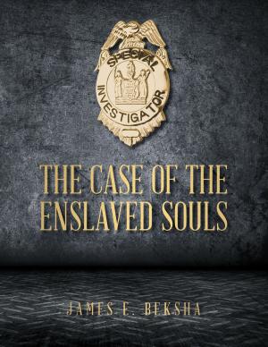 Cover of The Case Of The Enslaved Souls