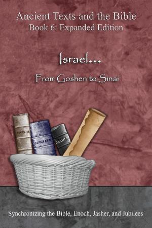 Book cover of Israel... From Goshen to Sinai - Expanded Edition