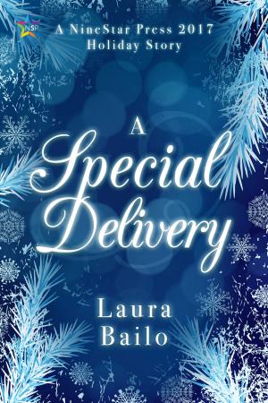 Book cover of A Special Delivery