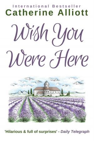 Cover of the book Wish You Were Here by L.M. Pfalz