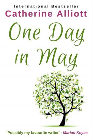 Cover of the book One Day In May by Janice M. Whiteaker