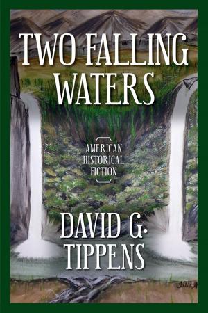 Cover of the book Two Falling Waters by Demetra Tsavaris-Lecourezos