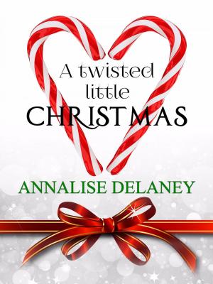 Cover of the book A Twisted Little Christmas by Jane Mesmeri