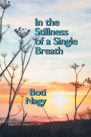 Cover of the book In the Stillness of a Single Breath by Aaron D. White