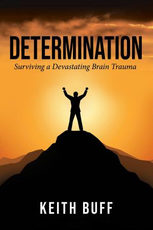 Cover of the book Determination by Deke Rivers