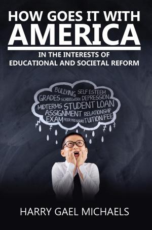 Cover of the book How Goes It With America by F. C. YOUNG