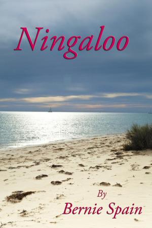 bigCover of the book Ningaloo by 