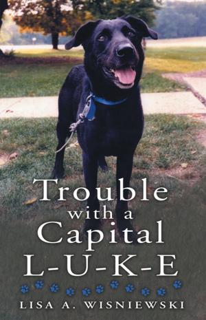 Cover of the book Trouble with a Capital L-U-K-E by Elizabeth Iyadi Abaye