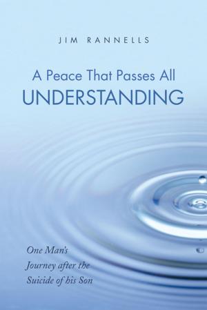 Cover of the book A Peace That Passes All Understanding by James A. Dauer