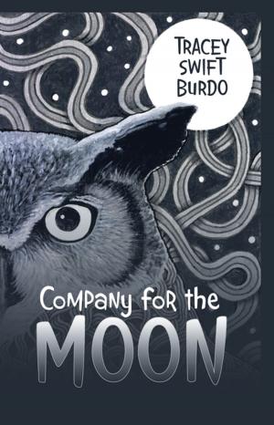 Cover of the book Company for the Moon by Paula M. S. Paquette MTS MPA