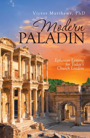 Cover of the book Modern Paladin by Ann Moore