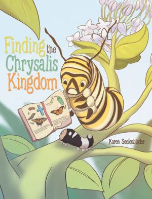 Cover of Finding the Chrysalis Kingdom