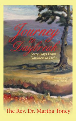 Cover of the book Journey to Daybreak by Renaud deVitry
