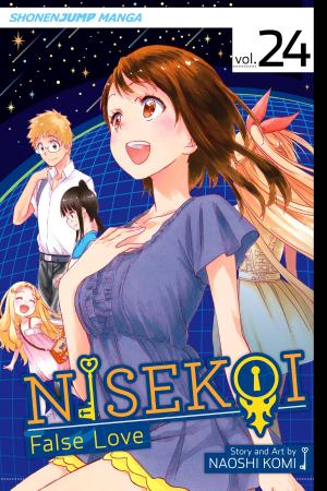 Book cover of Nisekoi: False Love, Vol. 24