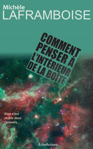 Cover of the book Comment penser à l'intérieur de la Boîte by Michele Laframboise
