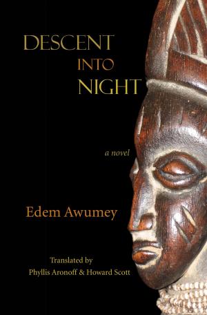 Cover of the book Descent into Night by Gugu Hlongwane