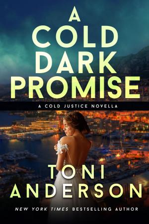 Book cover of A Cold Dark Promise