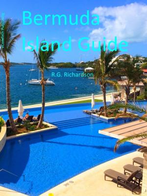 Cover of the book Bermuda Island Guide by Judy Sheer Watters