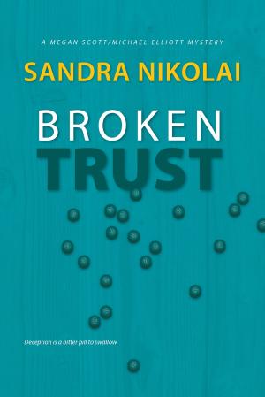 Cover of the book Broken Trust by Ellen Byerrum