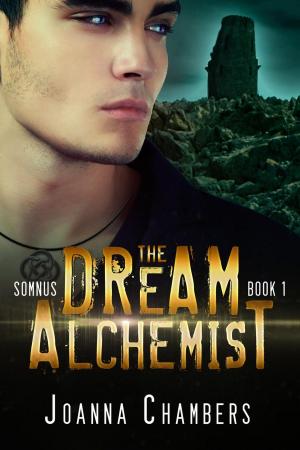 Cover of the book The Dream Alchemist by Kim Schubert