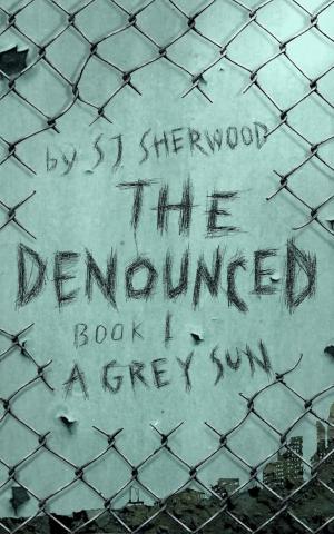 Cover of the book The Denounced by Melissa Darnell