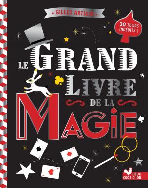 Cover of the book Le grand livre de la magie by Marie Pourrech