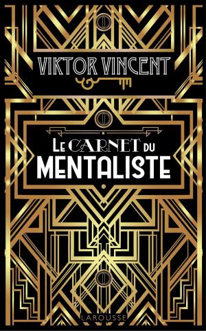 Cover of the book Le carnet du mentaliste by Latifa Gallo