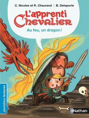 Cover of the book Au feu, un dragon ! by Robin Benway