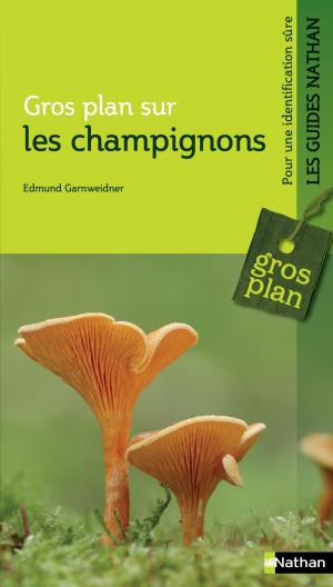 Cover of the book Les champignons by Patrick Delperdange