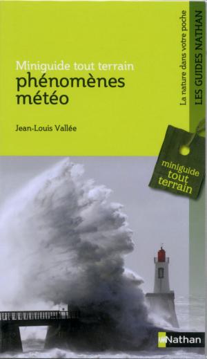 Cover of the book Phénomènes météo by Béatrice Nicodème, Thierry Lefèvre