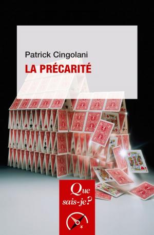 Cover of the book La précarité by Michel Meyer, Benoît Frydman