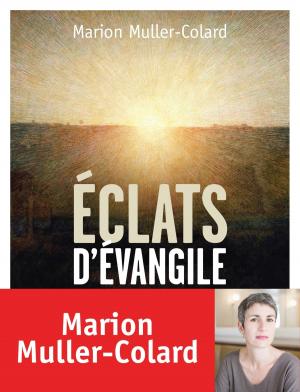 Cover of the book Eclats d'Evangile by Fréderic Boyer, Serge Bloch
