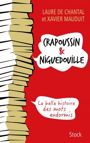 Book cover of Crapoussin et Niguedouille, la belle histoire des mots endormis