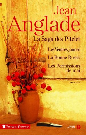 Cover of the book La saga des Pitelet by Élise TIELROOY