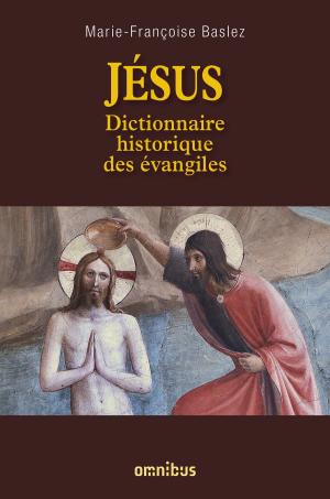 Cover of the book Jésus : Dictionnaire historique des évangiles by Claude ALLEGRE