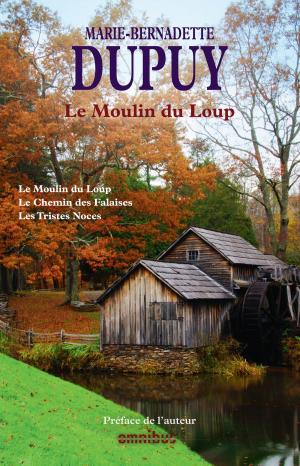 Book cover of Le Moulin du Loup Tome 1