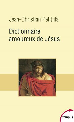 Book cover of Dictionnaire amoureux de Jésus