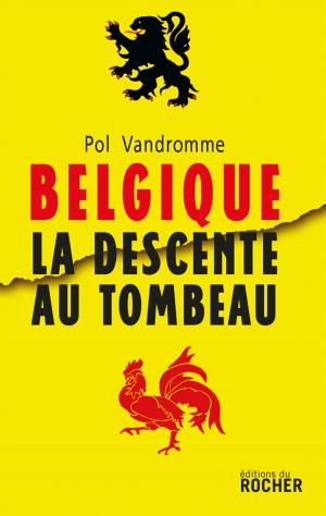 Cover of the book Belgique : la descente au tombeau by Michel Meyer