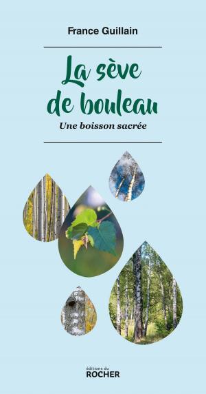 Book cover of La sève de bouleau