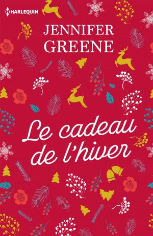 Book cover of Le cadeau de l'hiver