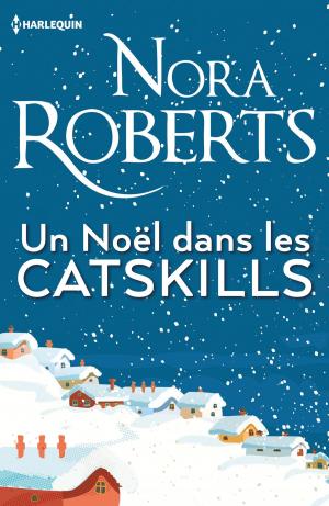 Cover of the book Un Noël dans les Catskills by Anne McAllister