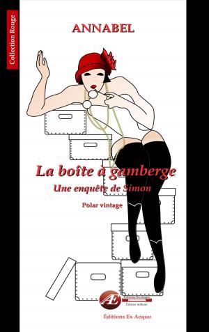 Cover of the book La boîte à gamberge by Gilles Kerloc'h, Franck Lefebvre-Billiez