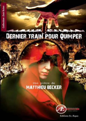 Cover of the book Dernier train pour Quimper by Charlène Mauwls
