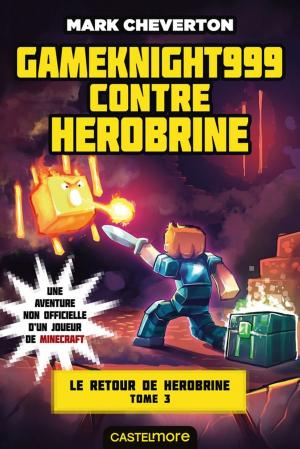 Book cover of Gameknight999 contre Herobrine