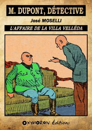 Cover of the book L'affaire de la villa Velléda by Arnould Galopin