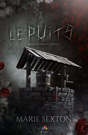 Cover of the book Le puits by Flor Abril