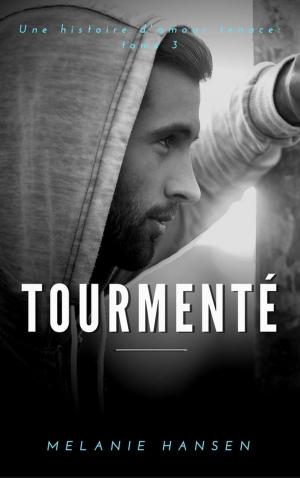 Cover of the book Tourmenté by Blake Moreno