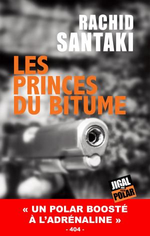 Cover of the book Les princes du bitume by Janis Otsiemi