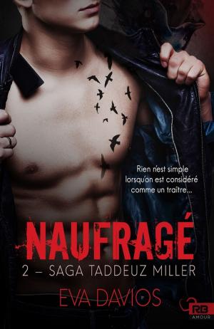 Cover of the book Naufragé by Hayley B. James